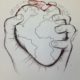 hand-holding-a-heart